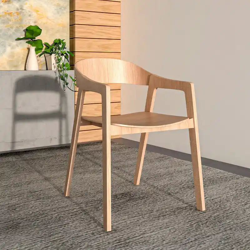 Modern Accent Dining Chairs with Arms in Oak Wood for Dining Room, Living Room and Kitchen