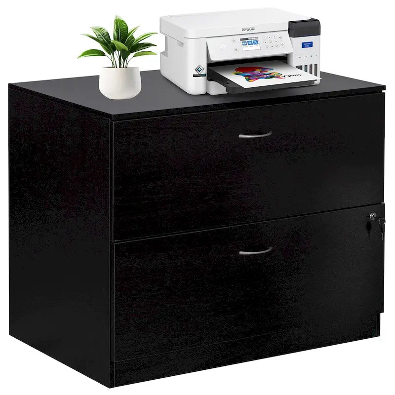 30 Wooden Lateral File Cabinet with Two Spacious Drawers, One Lockable - Suitable for Home Office, Offering Ample Space